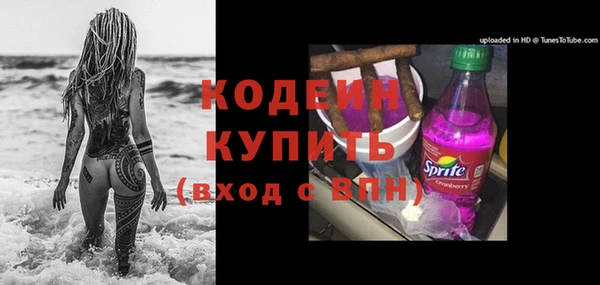 прущие грибы Богородск