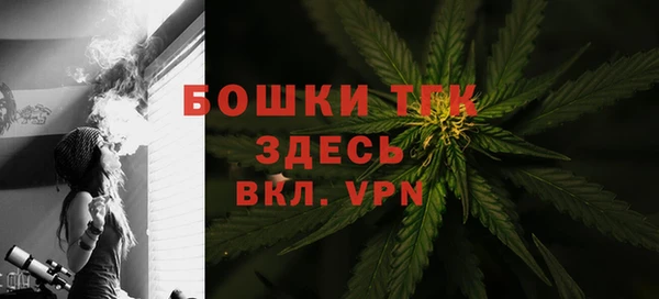 ALPHA PVP Богородицк