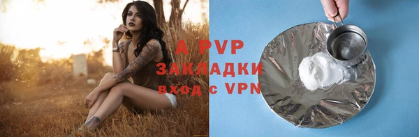 прущие грибы Богородск