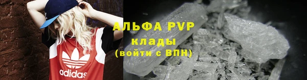 прущие грибы Богородск