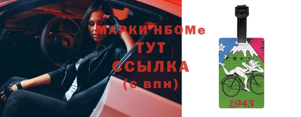 прущие грибы Богородск
