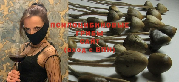 прущие грибы Богородск