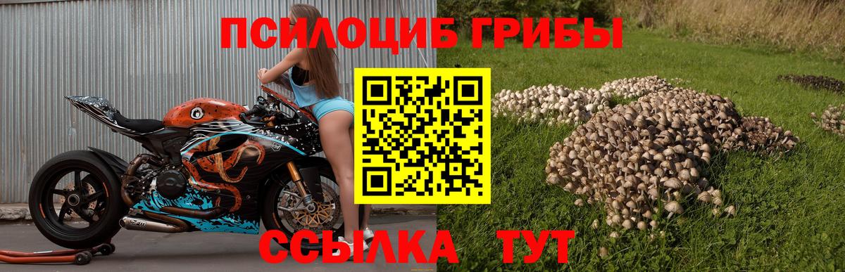 Псилоцибиновые грибы ЛСД Бузулук