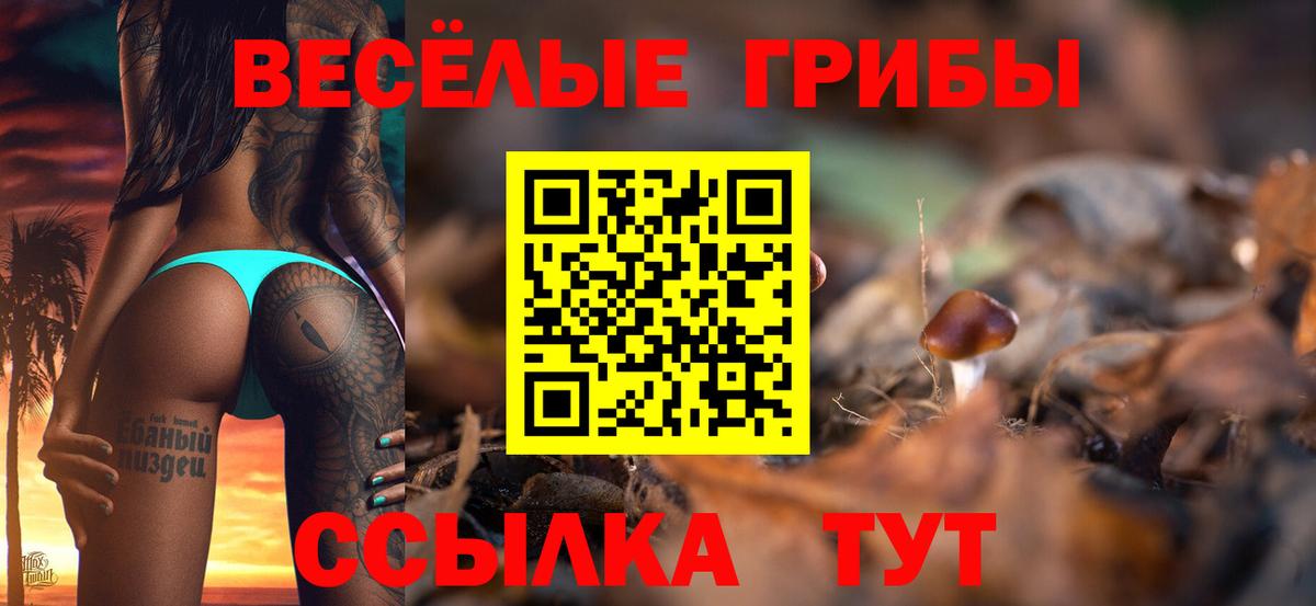 Бузулук  Псилоцибиновые грибы мухоморы  Вход с VPN  Псилоцибиновые грибы Magic Shrooms 